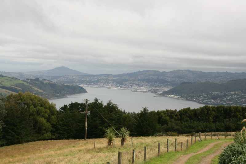 Nieuw-Zeeland 2011 - 1907